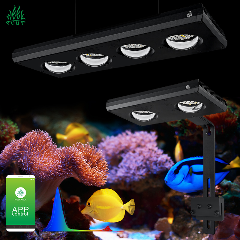 Marine Aquarium For Sale - ZXY Лидер продаж WEEKAQUA Z250 Z400sea