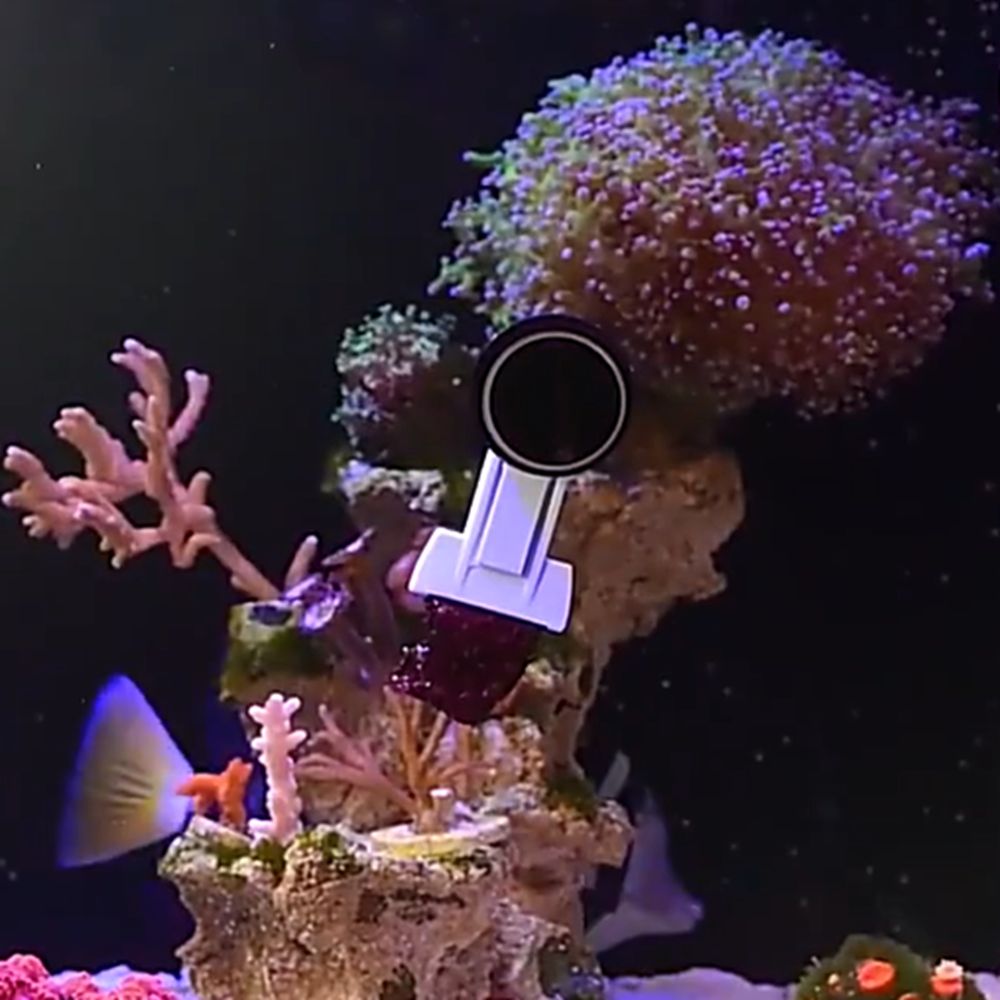 Магнитный зажим для водорослей – обзор и цена Aquarium Marine Services