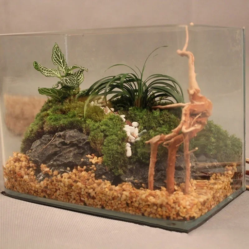 Натуральный ствол дерева Drift – обзор и цена Marine Aquarium For Sale