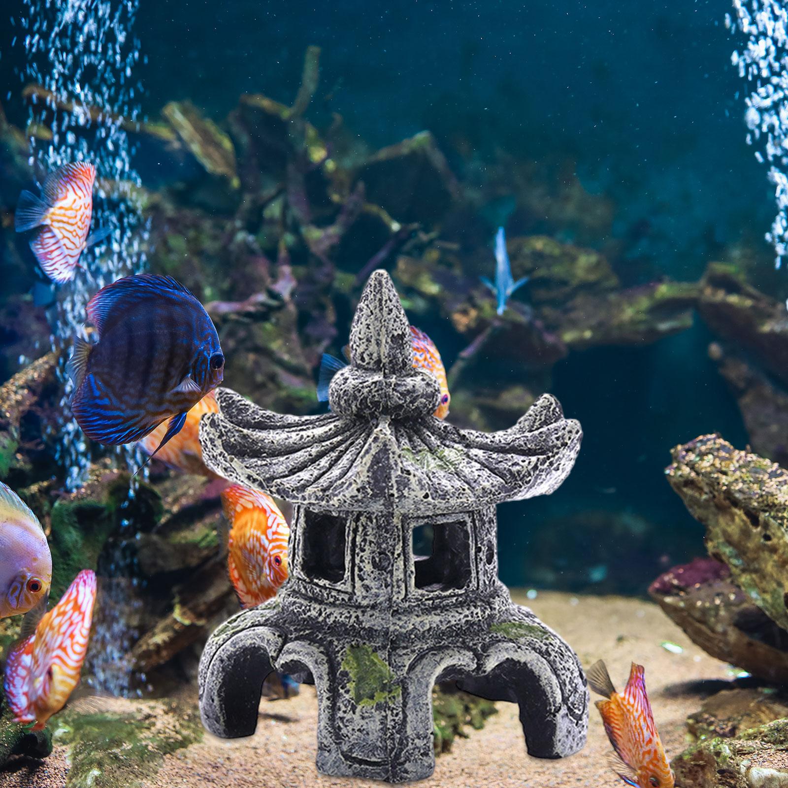 Аквариумное украшение, аквариу – обзор и цена Marine Aquarium For Sale
