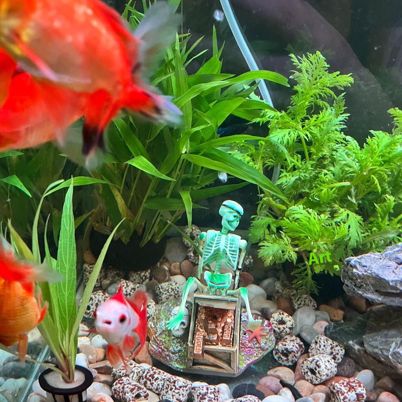 Аквариум, аэробный пейзаж, пуз – обзор и цена Marine Aquarium For Sale