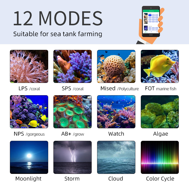 ZXY Лидер продаж WEEKAQUA Z250 – обзор и цена Marine Aquarium For Sale