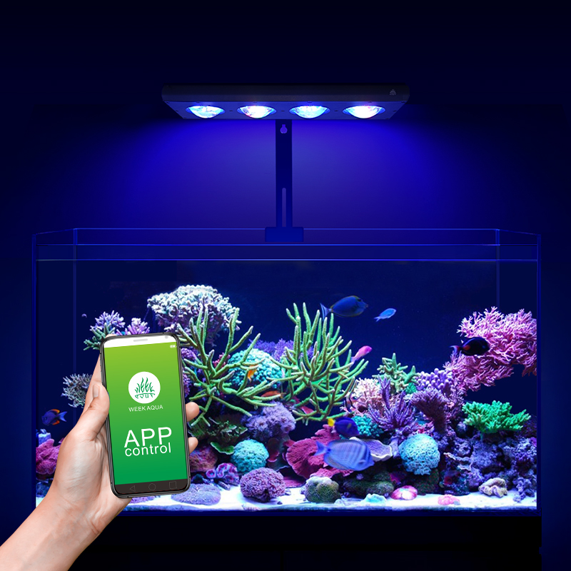 ZXY Лидер продаж WEEKAQUA Z250 – обзор и цена Marine Aquarium For Sale