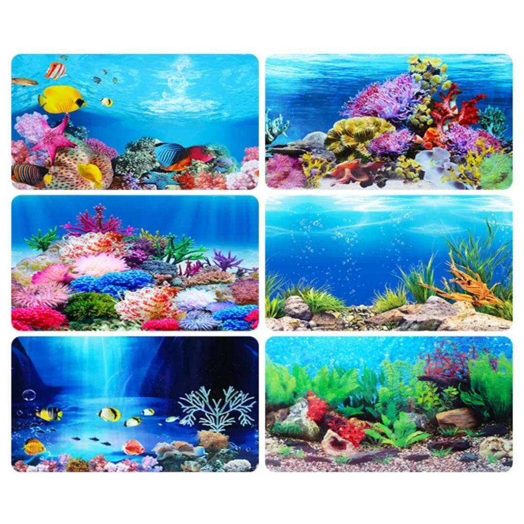Фон для аквариума, 3D наклейка – обзор и цена Marine Aquarium For Sale