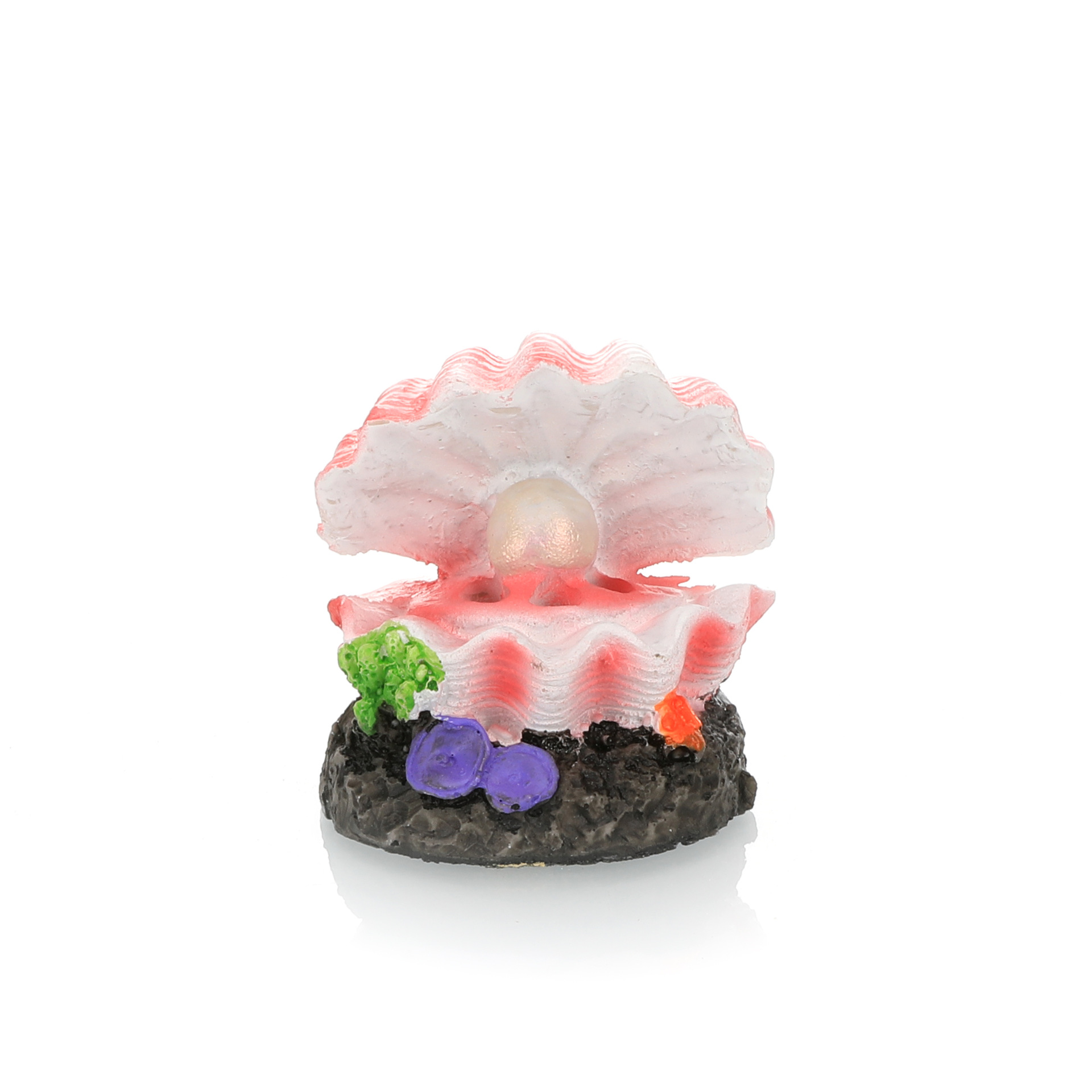 Моделирование ландшафтного диз – обзор и цена Marine Aquarium For Sale