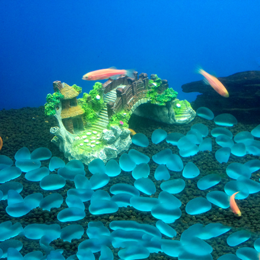 Аксессуары для аквариума, бесе – обзор и цена Marine Aquarium For Sale