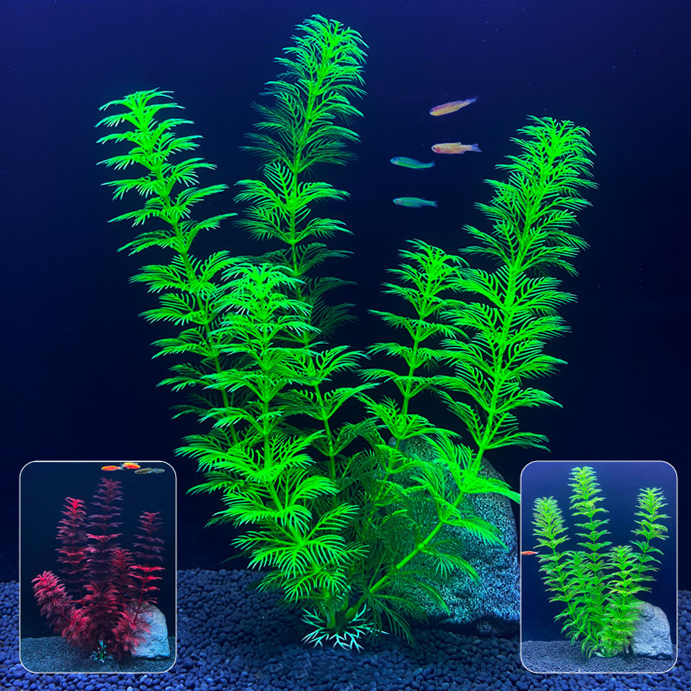 Искусственные аквариумные раст – обзор и цена Marine Aquarium For Sale