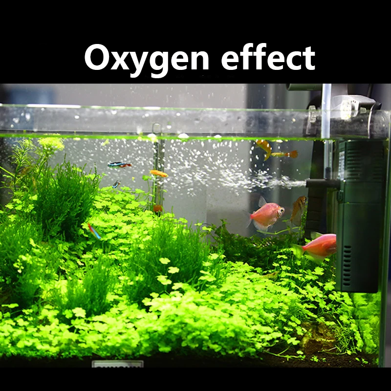 SUNSUN mini nano 111B 311B 611 – обзор и цена Aquarium Blue Marine Reef 60